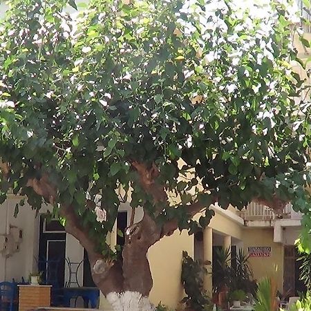 Mouroukis Rooms Λουτρά Αιδηψού Εξωτερικό φωτογραφία